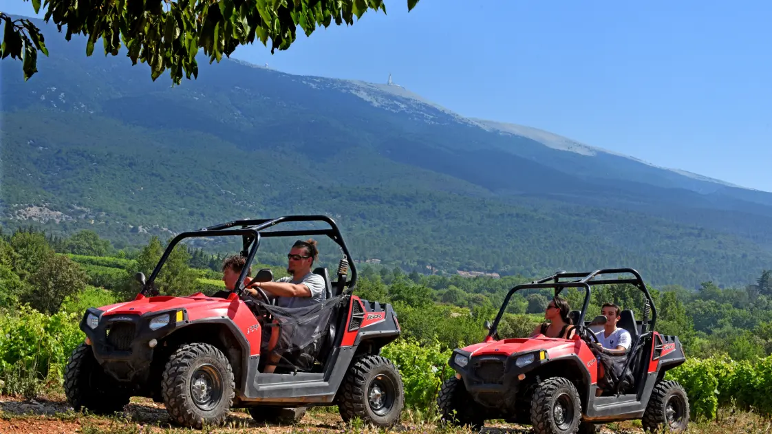 Oenotourisme excursions en buggy