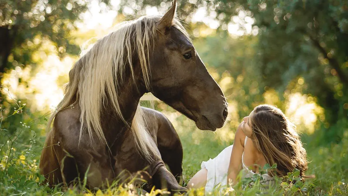 Instant complice entre une femme allongée dans l’herbe et son cheval brun.