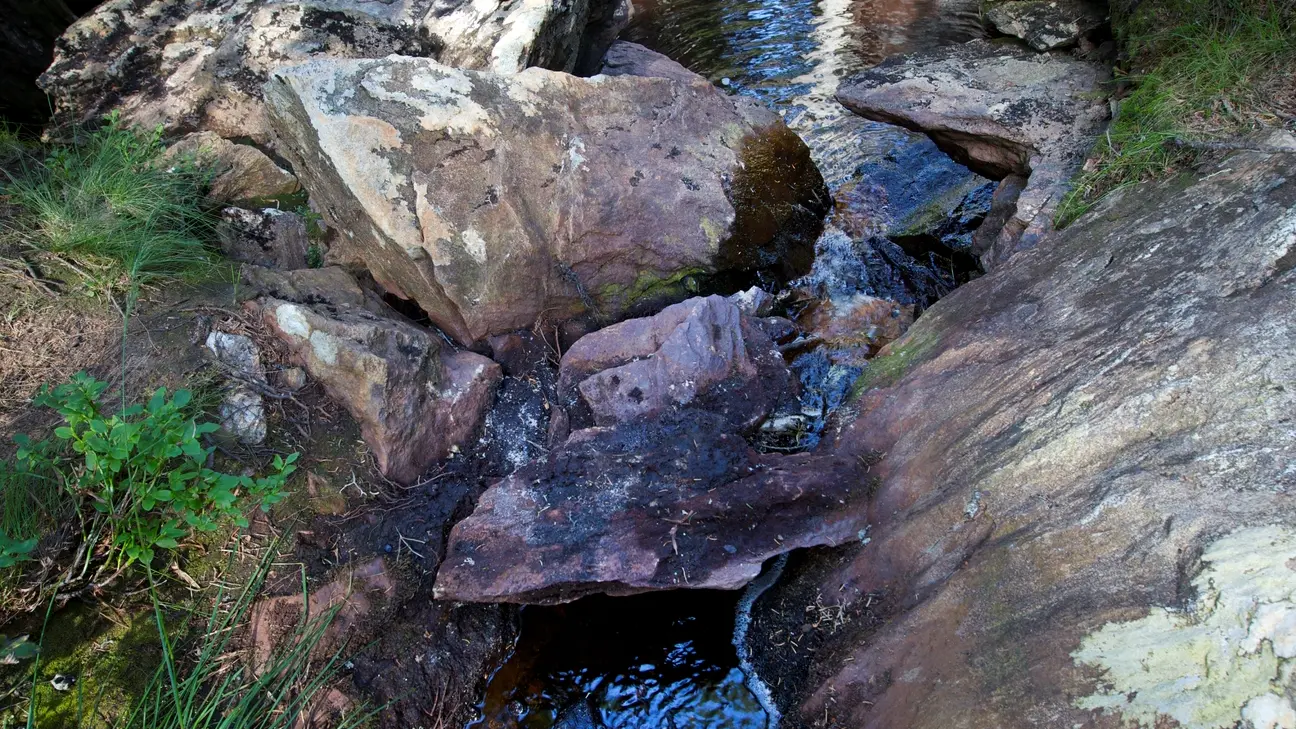 nant-rouge-tourbiere-les-saisies