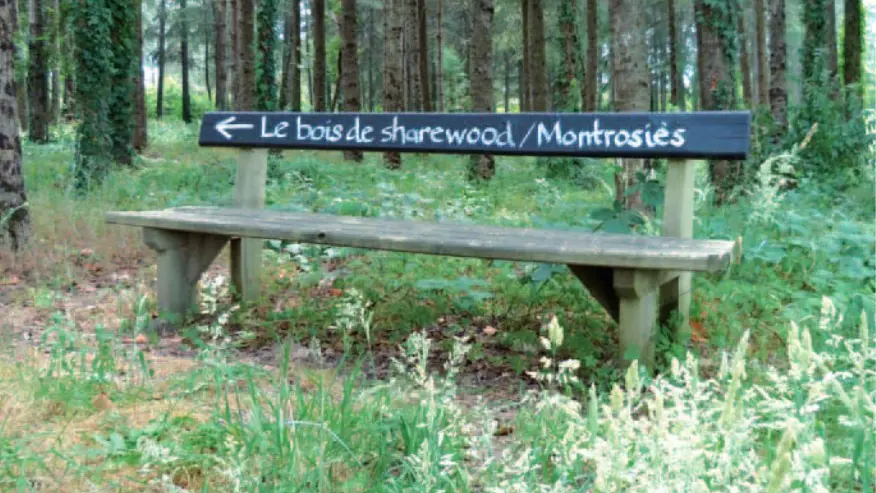 Bois de Montrosiès Nègrepelisse