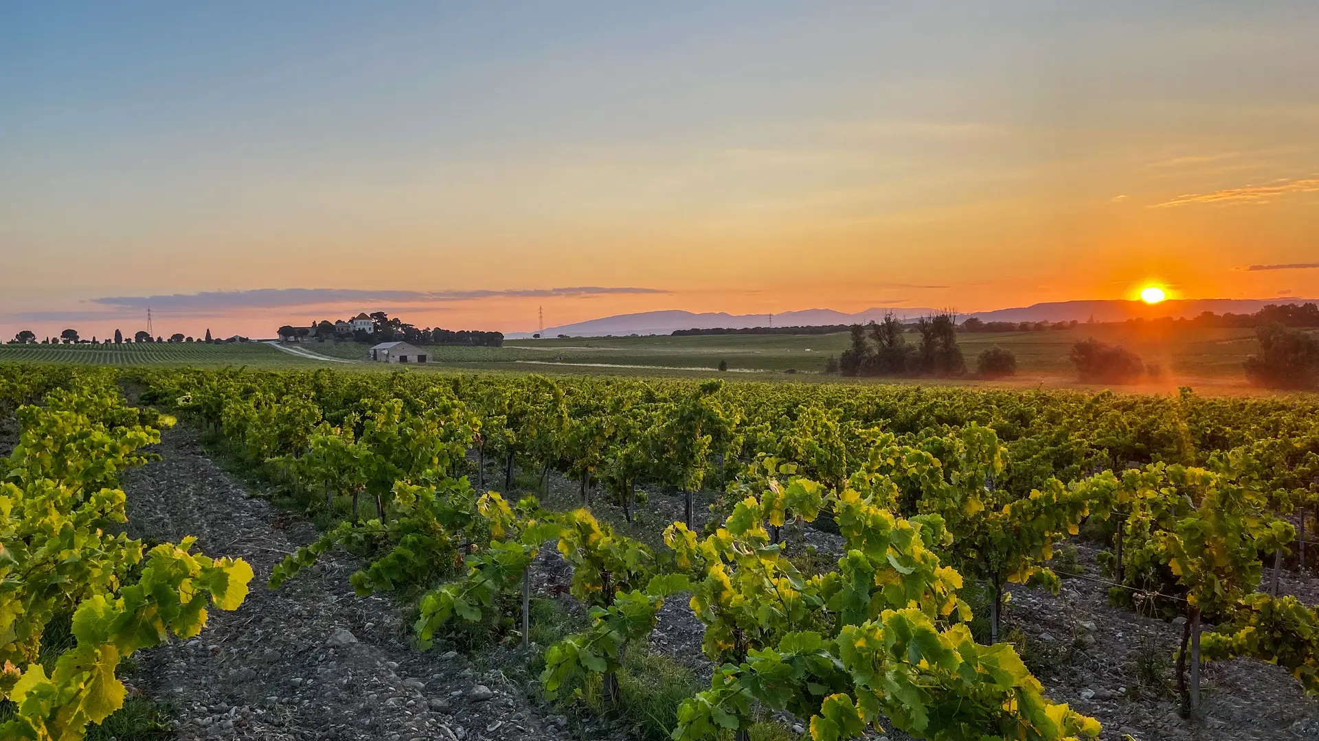 Château de Ruth - coucher de soleil