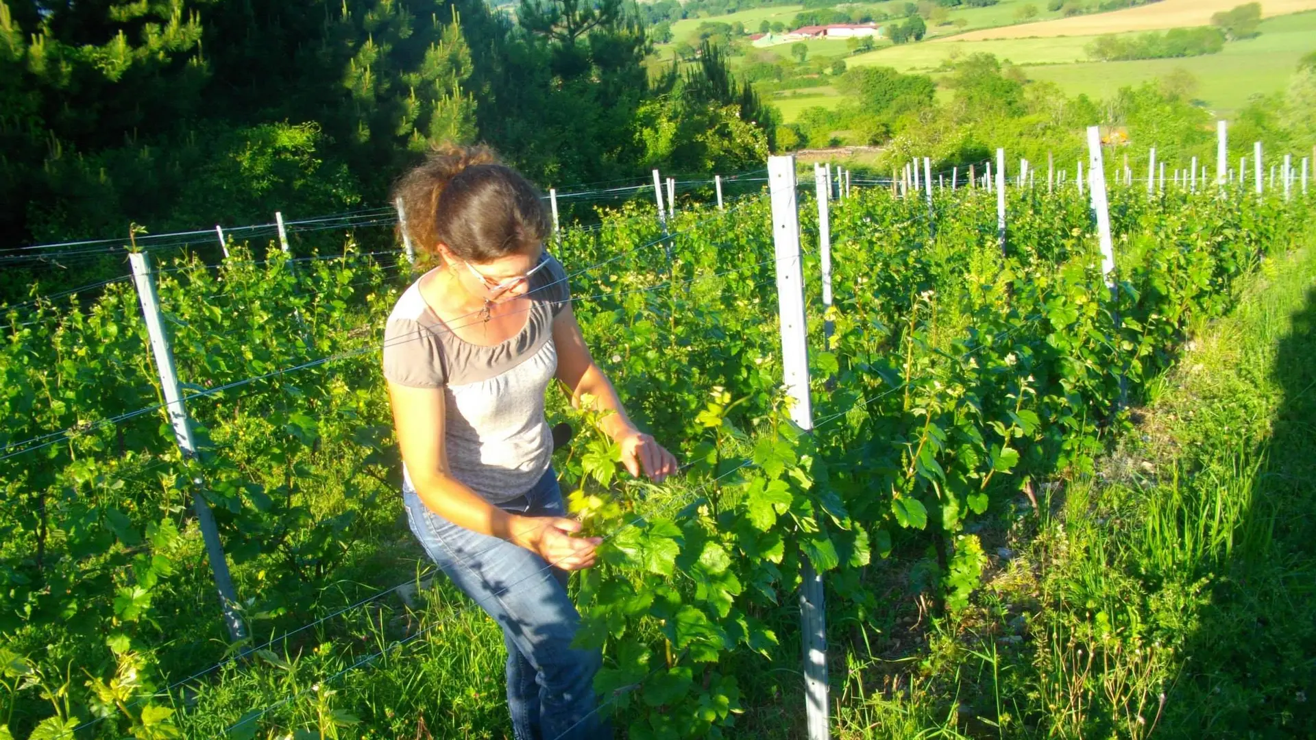 Domaine Antoine Véronique Cerdon