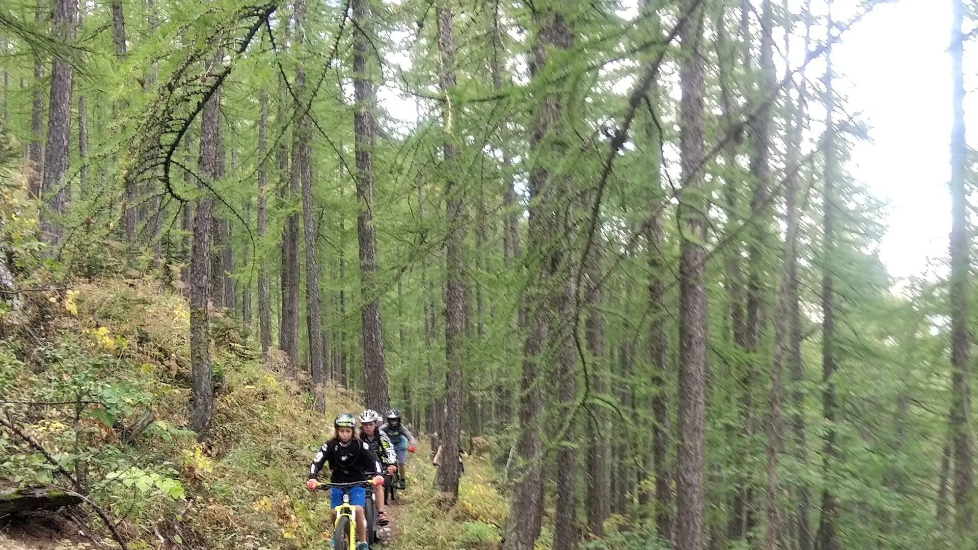 Descente en forêt en direction deClot Gaillard