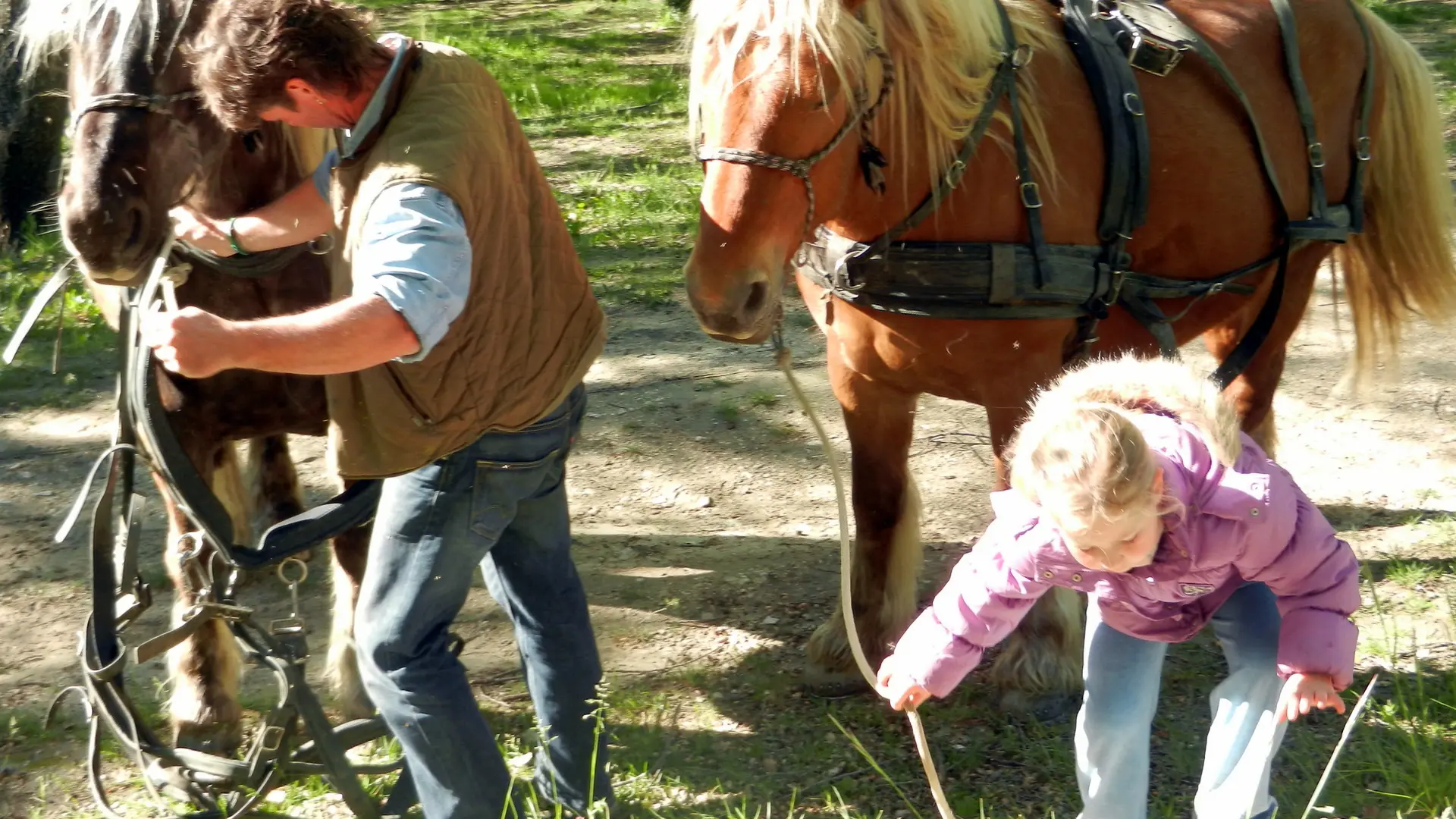 Avec les chevaux des vacances actives