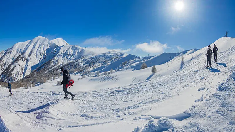 3 randonneurs en raquettes dans une plaine enneigée ensoleillée, montagnes et conifères en arrière-plan