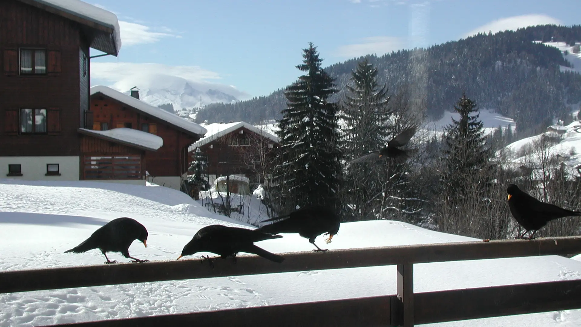 Vue hiver