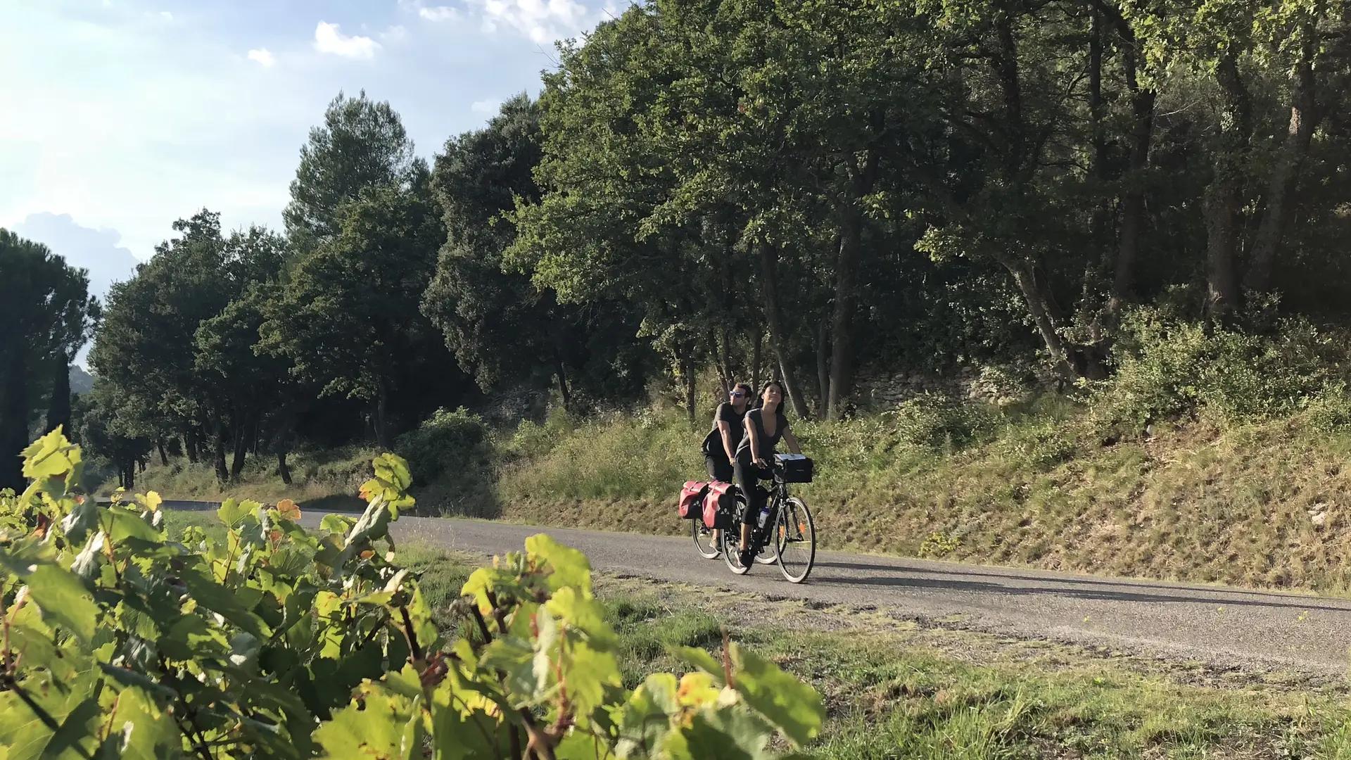 Vélo Loisir Provence