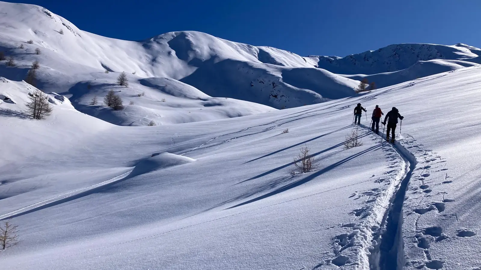 Journée, stage et raid à ski de randonnée_Les Orres