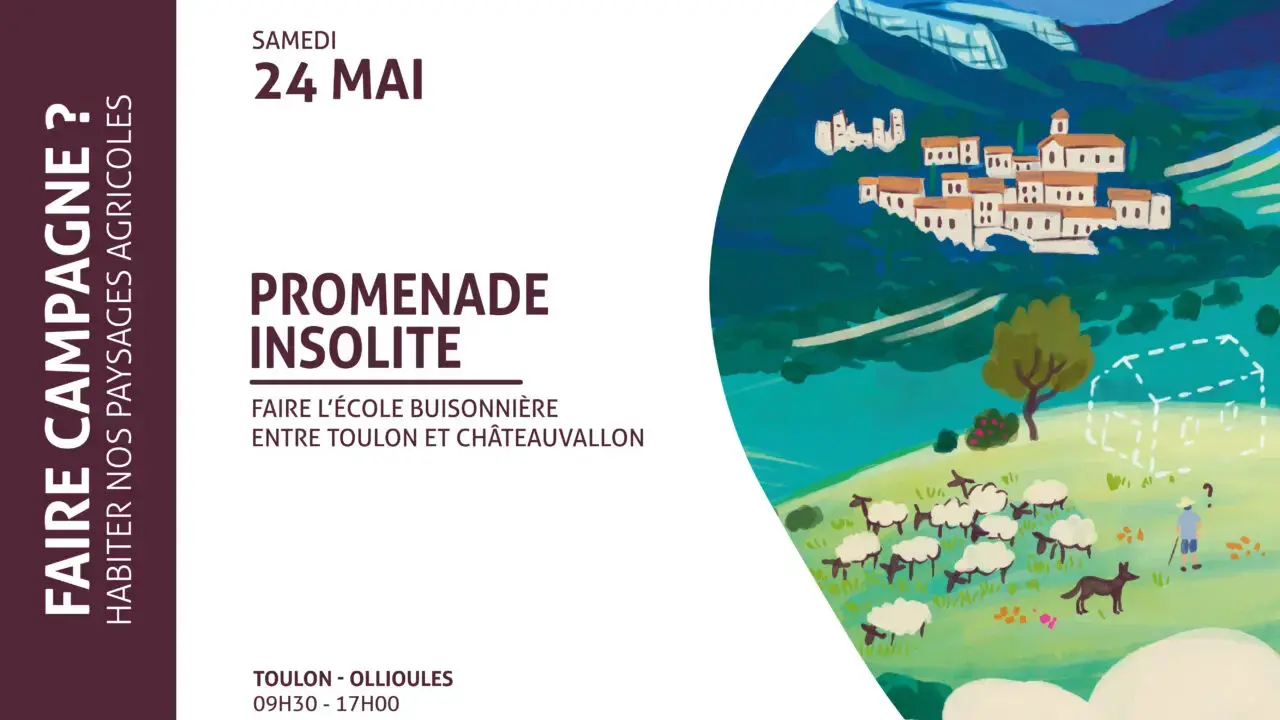 16_Visuel-Web-Promenade-insolite-2405-1280x800