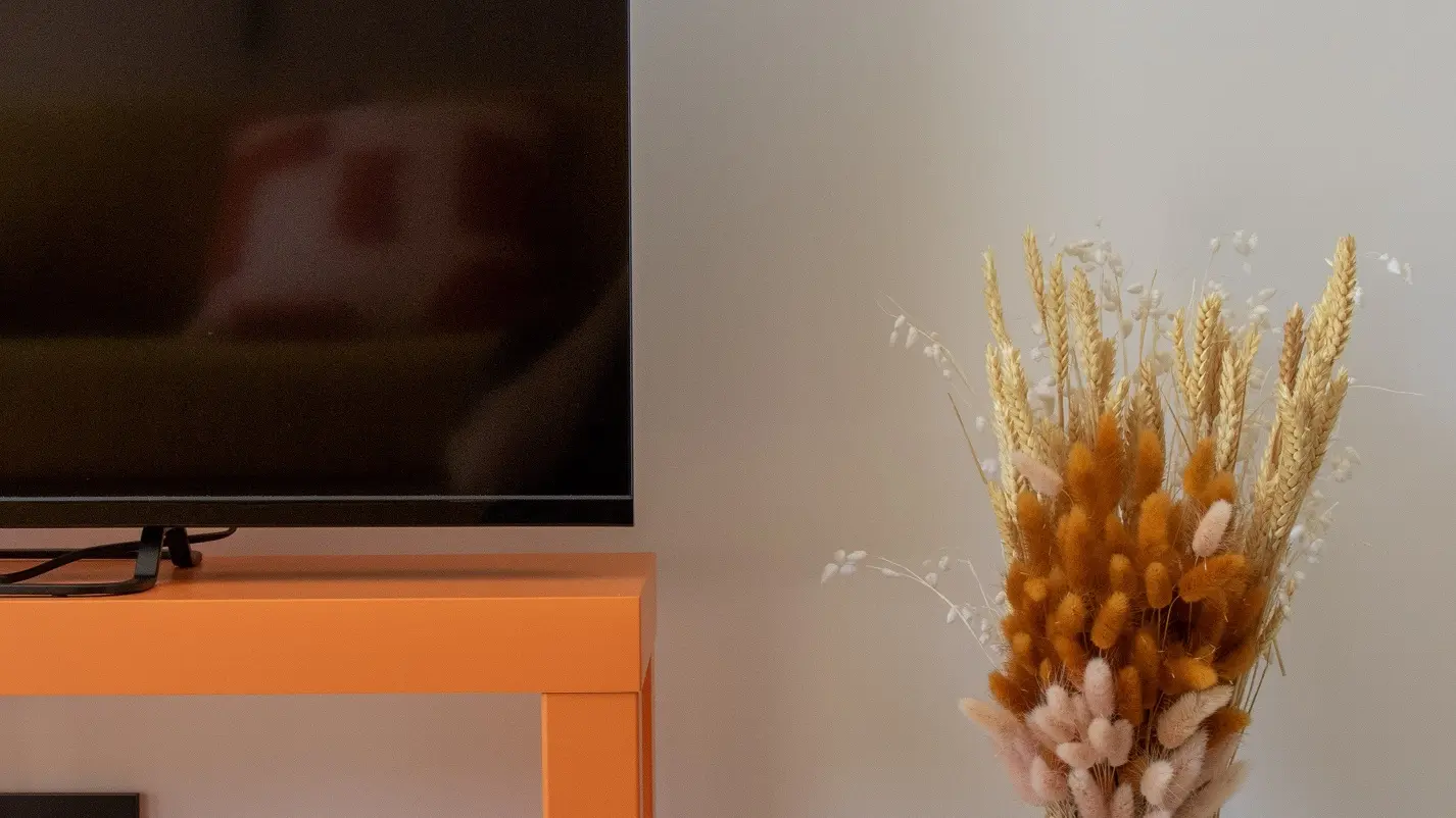 Télévision