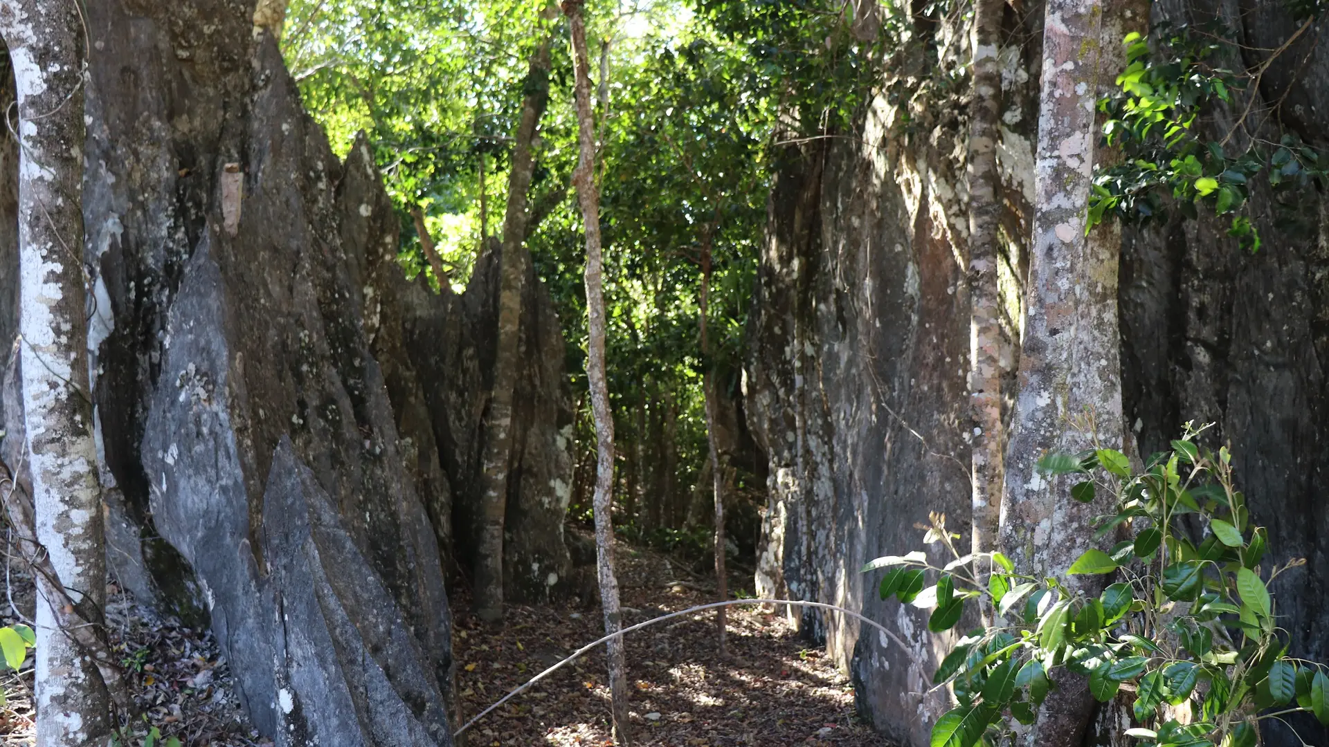 Randonnée Haute Néhoué