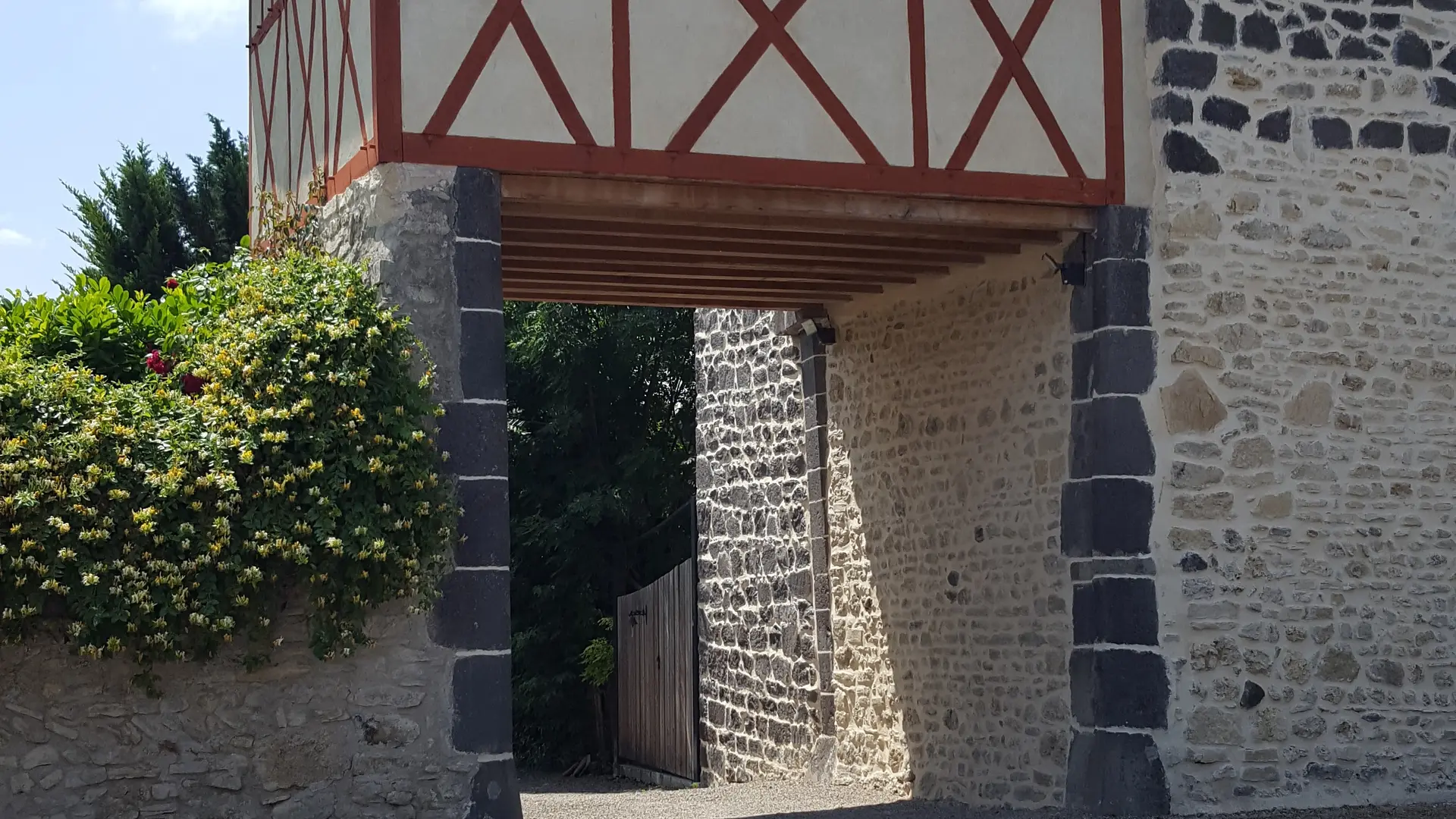 Art roman et terres noires