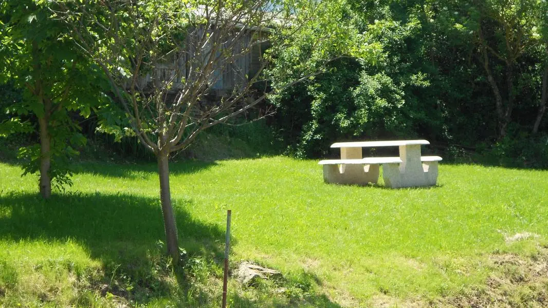 Jardin.