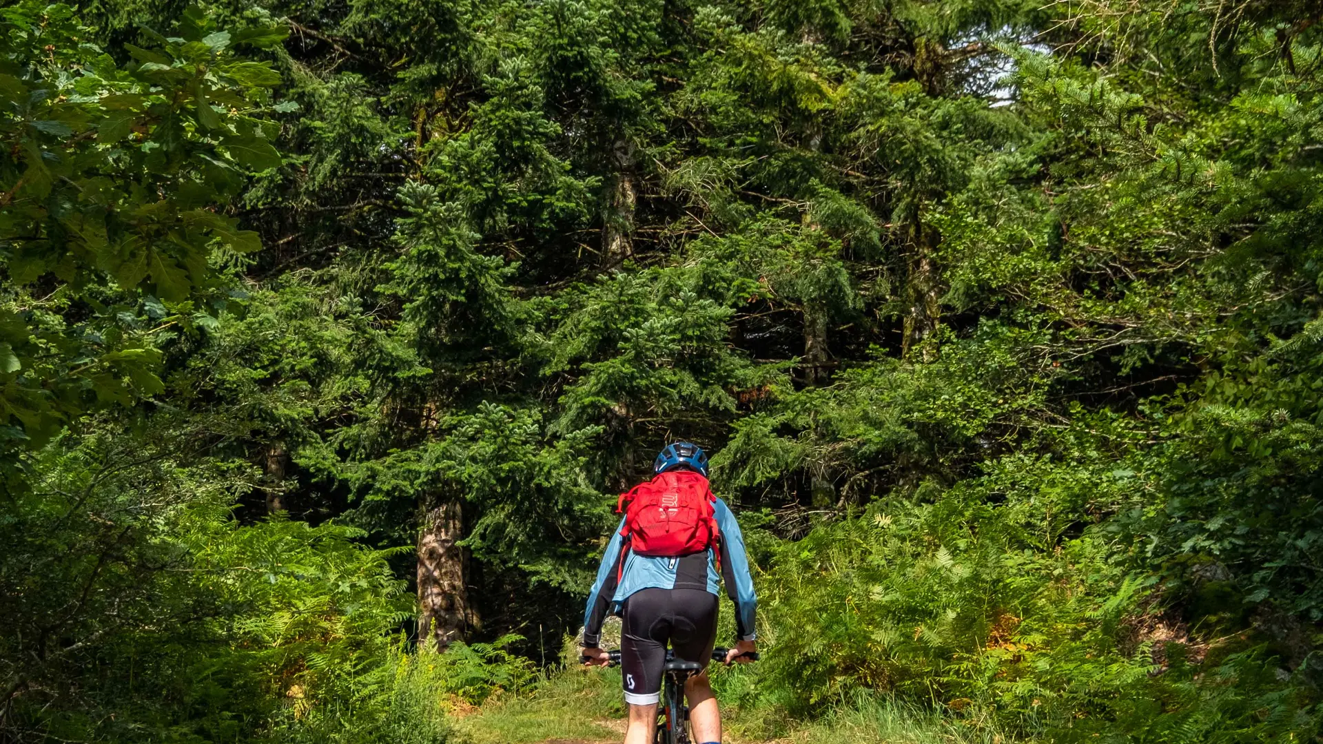 Espace VTT Vichy Montagne