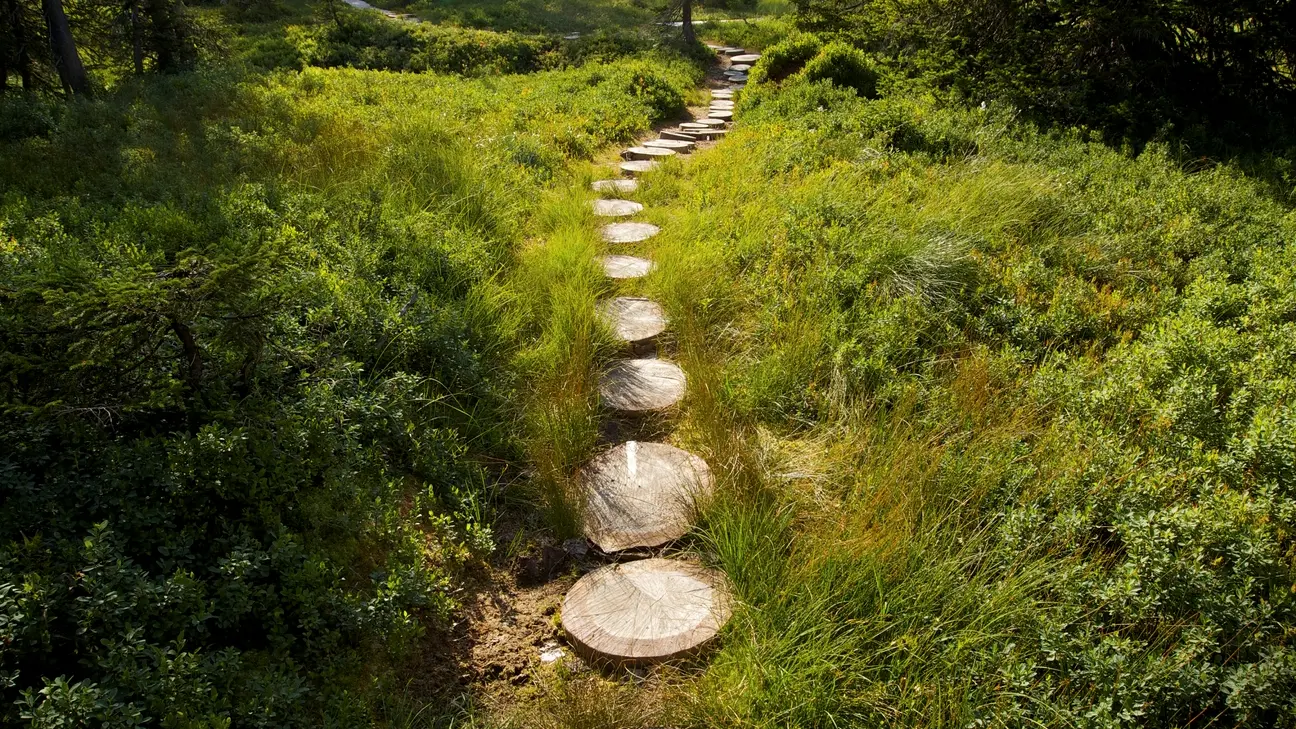 sentier-tourbiere-les-saisies