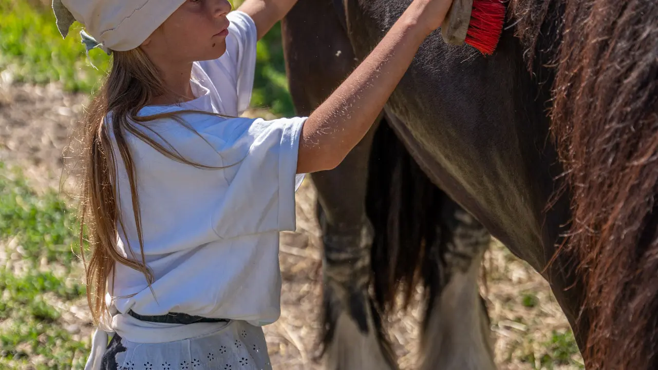 Un enfant s'occupe du cheval