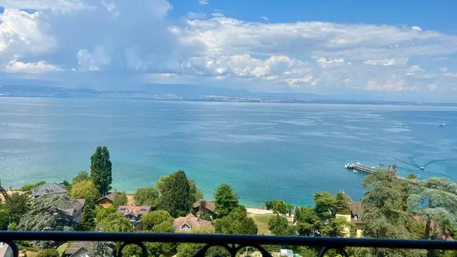 vue