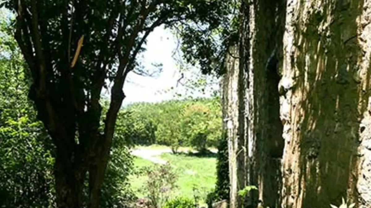 Vue côté terrasse Gîte Hysope