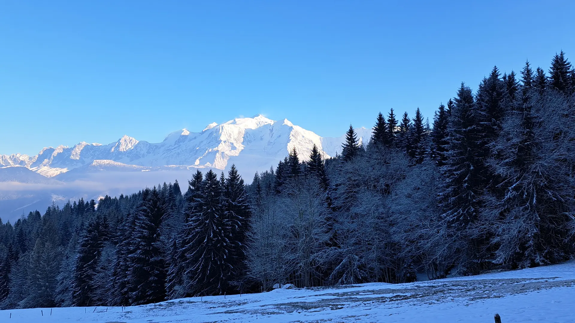 Sentier en face du Mont-Blanc