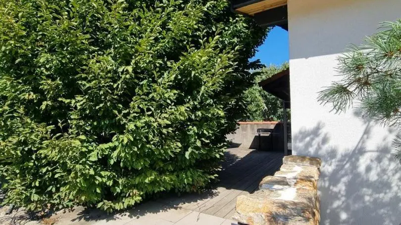Entrée privative du gîte Le Châtaignier