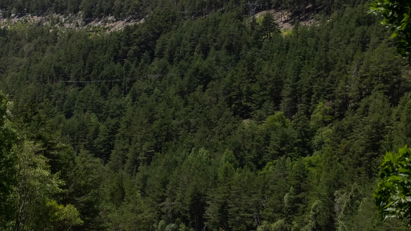 Le Marathon - ex Intégrale