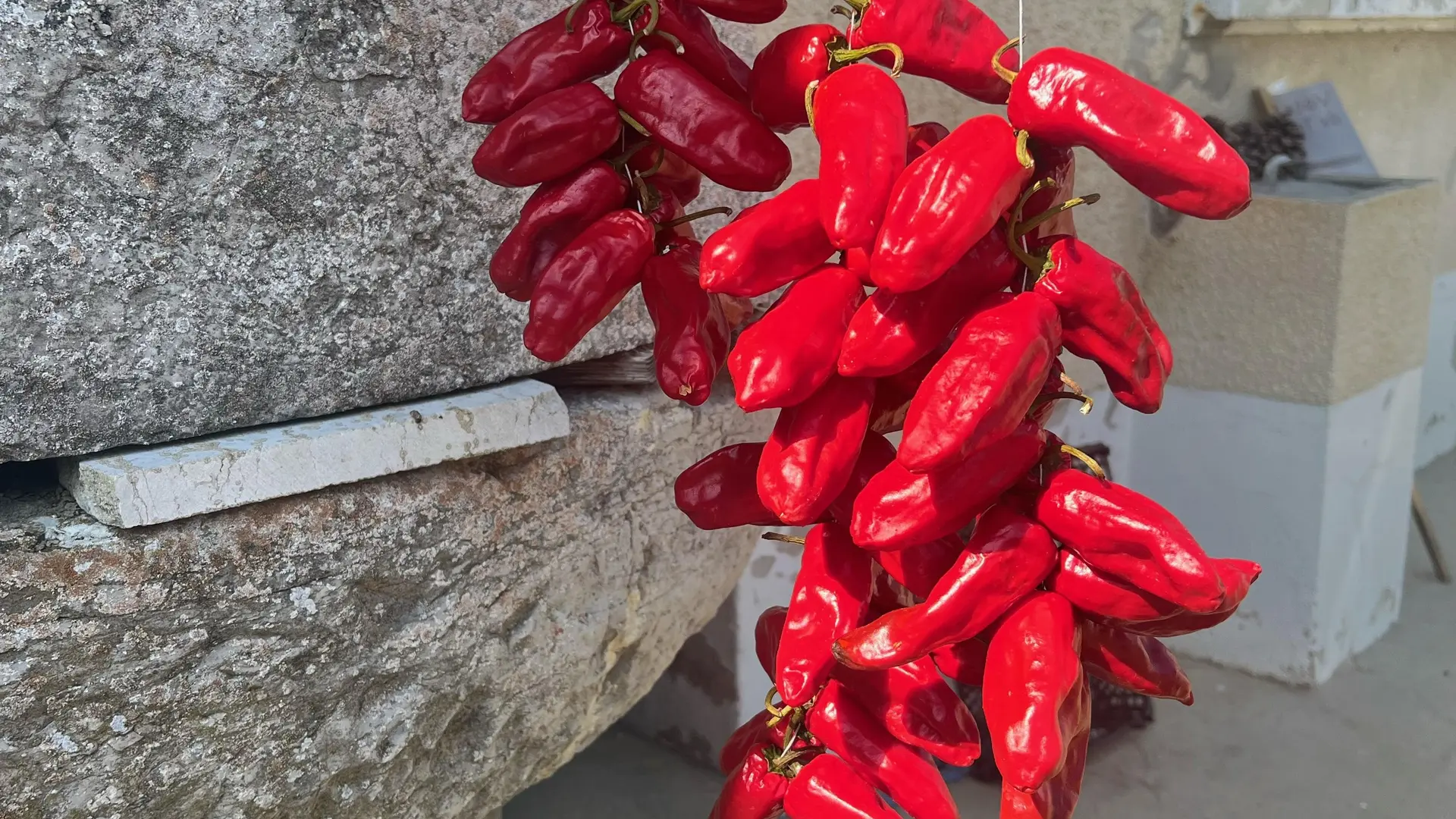 Piment de Bresse à la ferme