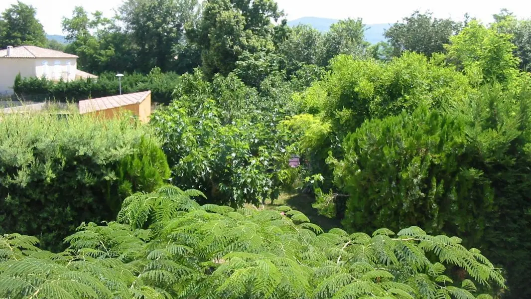 photo27