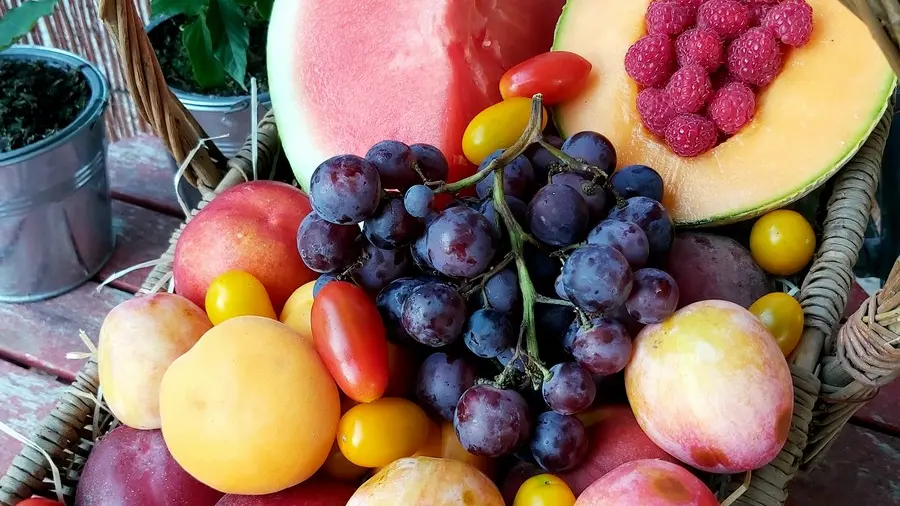 Producteur Bourgier & fils à Saint-Rémy-de-Provence