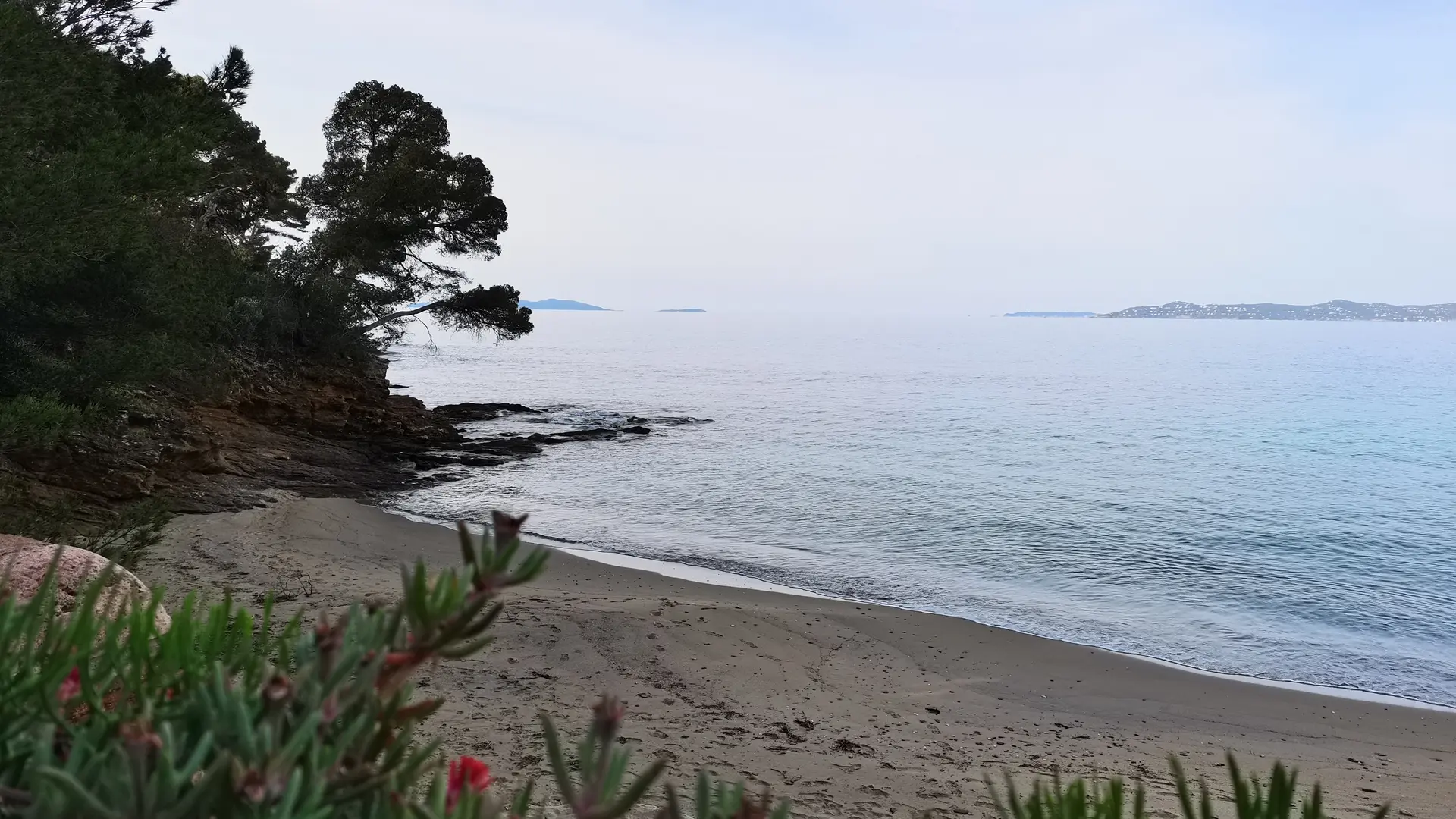 Plage du Figuier