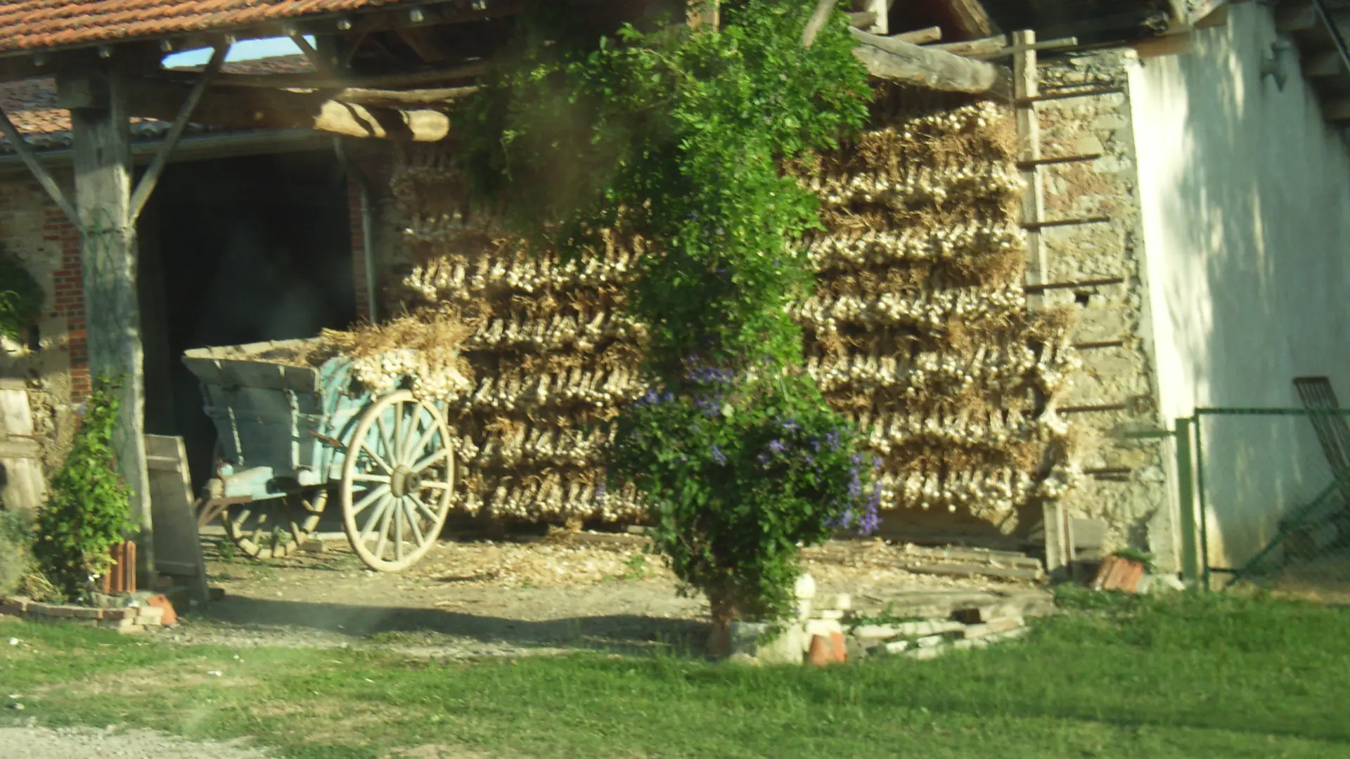 Ferme de papon