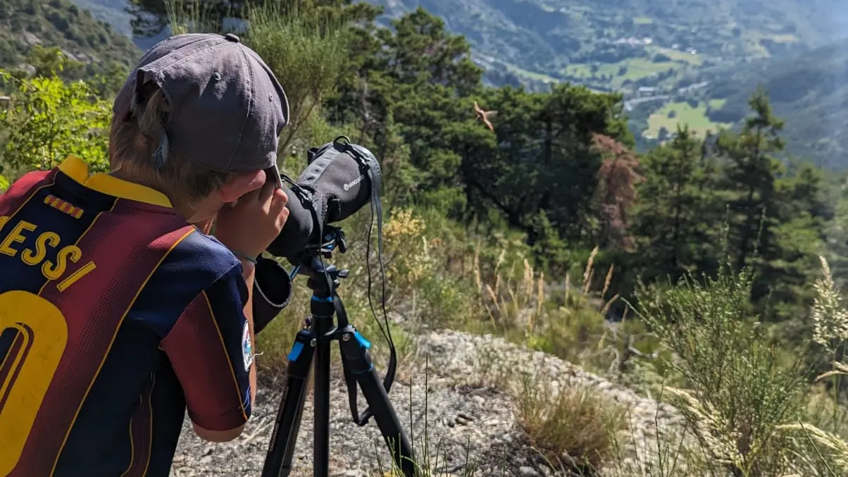 Observation à la longue vue