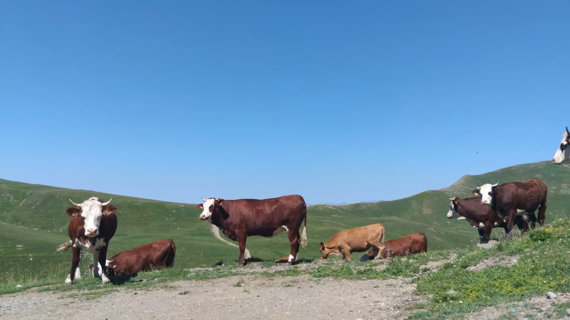 Chastan Sport - Randonnée trottinette Tout Terrain et location Fat Bike à assistance électrique_Crévoux