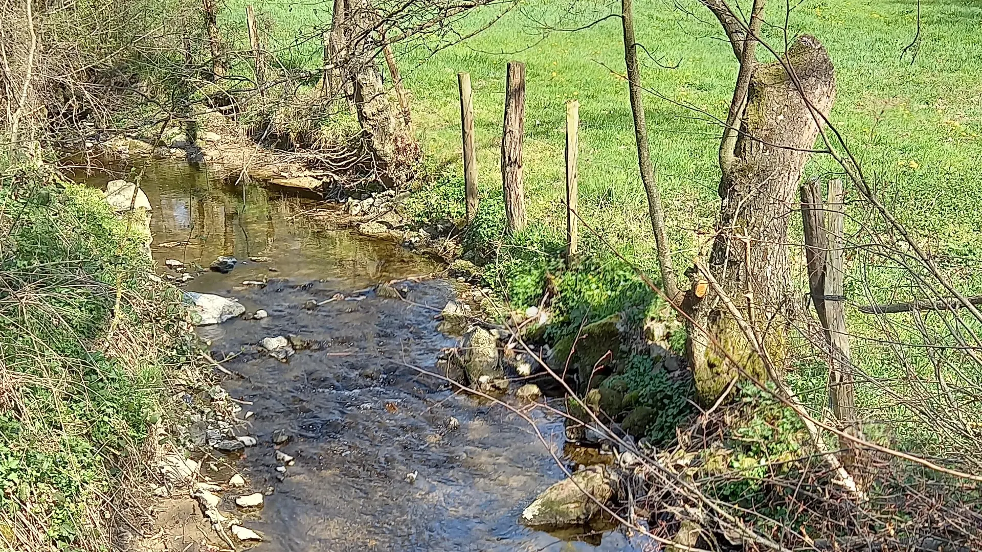 Rivières