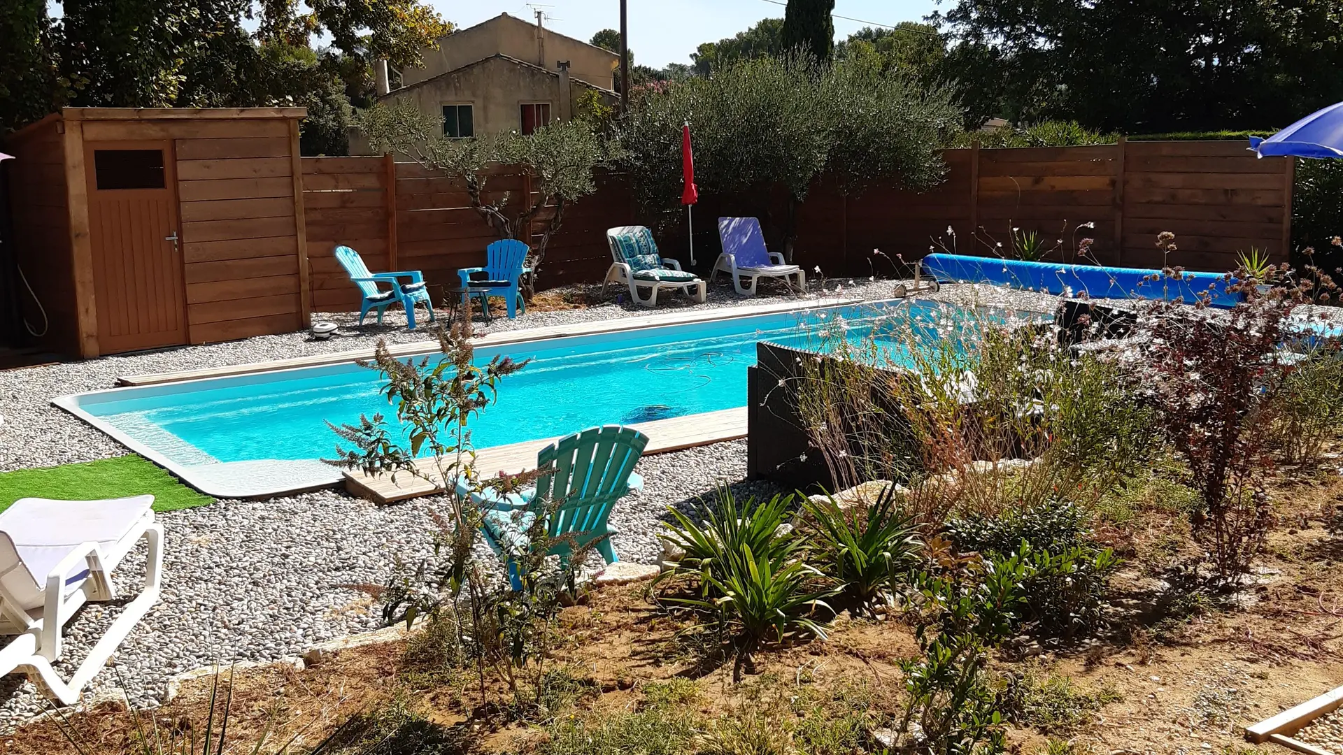 espace piscine avec transats sous les oliviers.