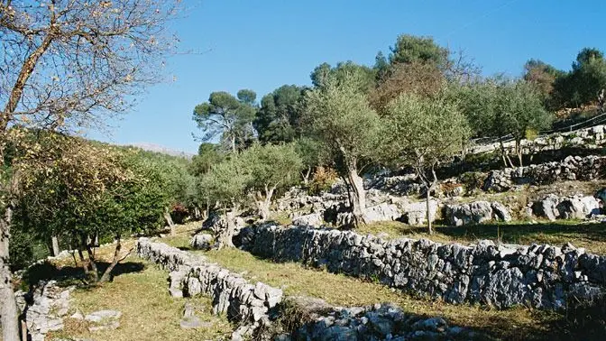 Gîte L'Oustaou-Restanques-La Colle sur Loup-Gîtes de France Alpes-Maritimes