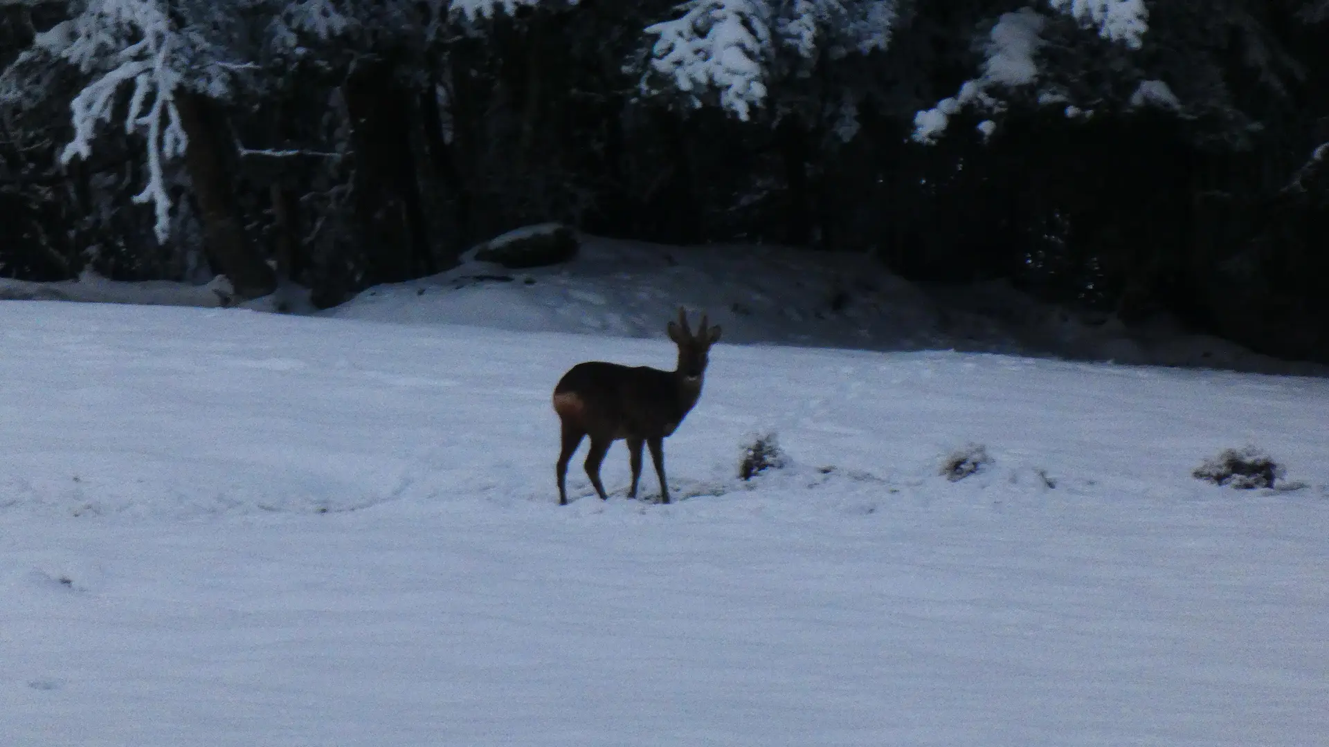 une belle visite au gite