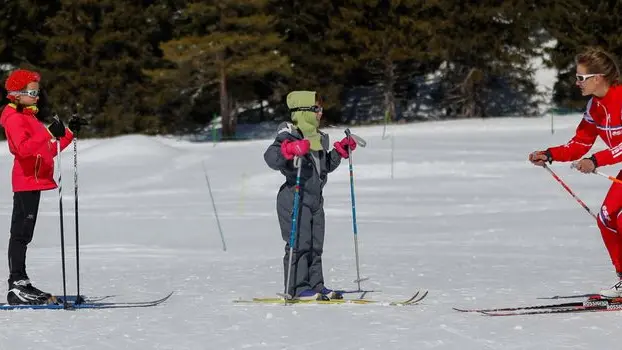 Ski nordique à beille