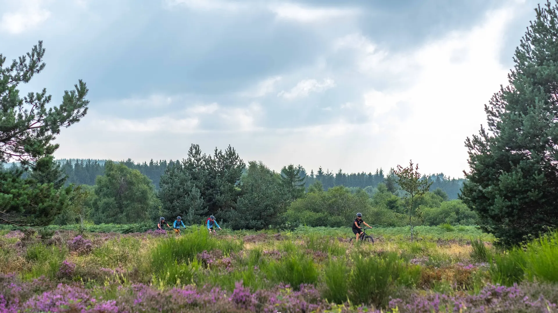 Espace VTT Vichy Montagne