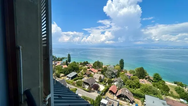 vue
