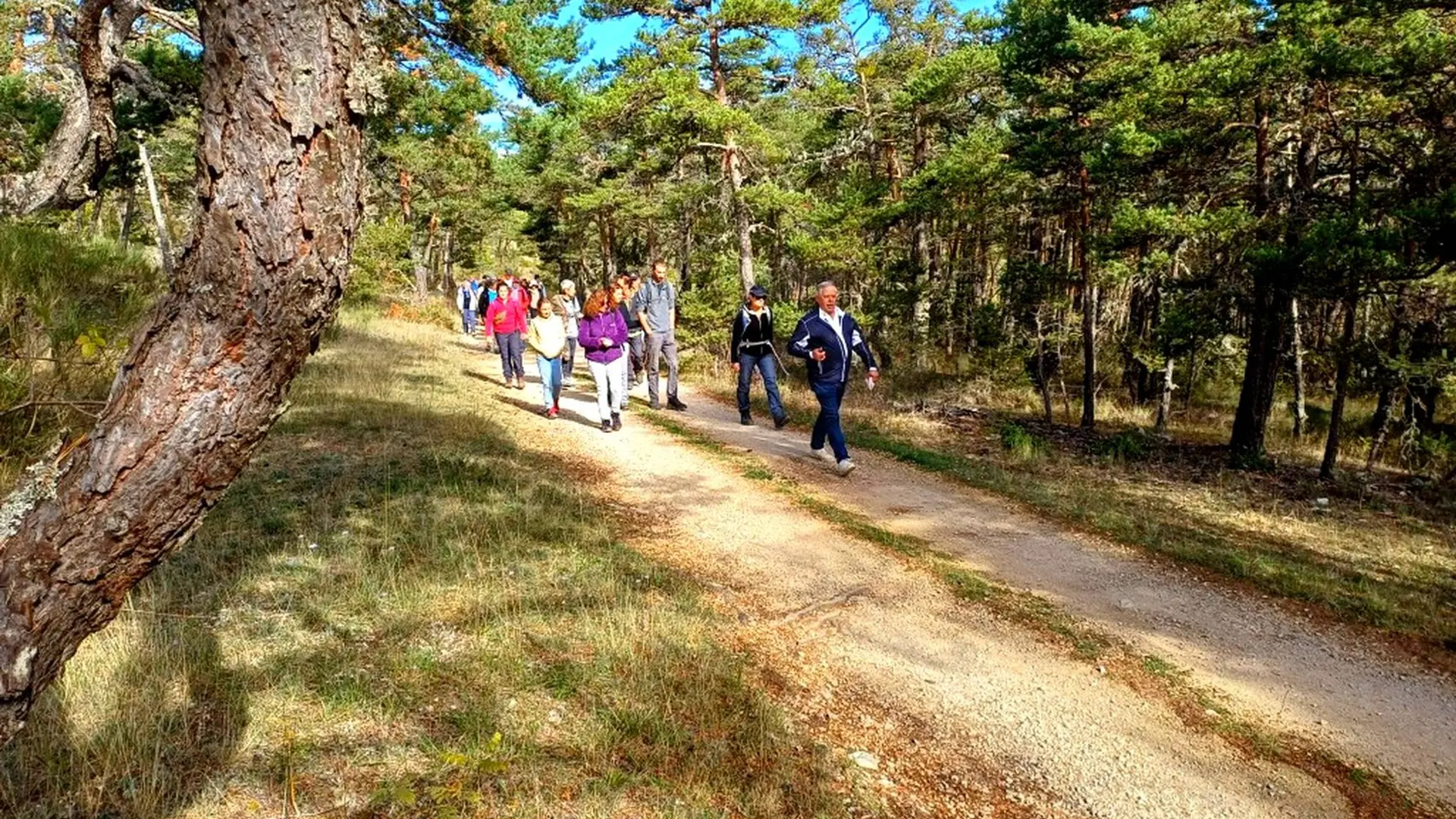 Sur les traces de la préhistoire