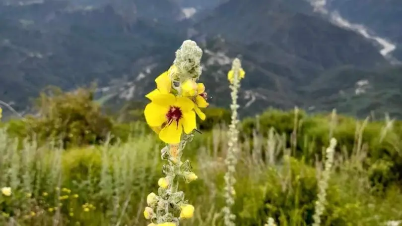 Plateau du Lac-Bairols-Gîtes de France Alpes-Maritimes