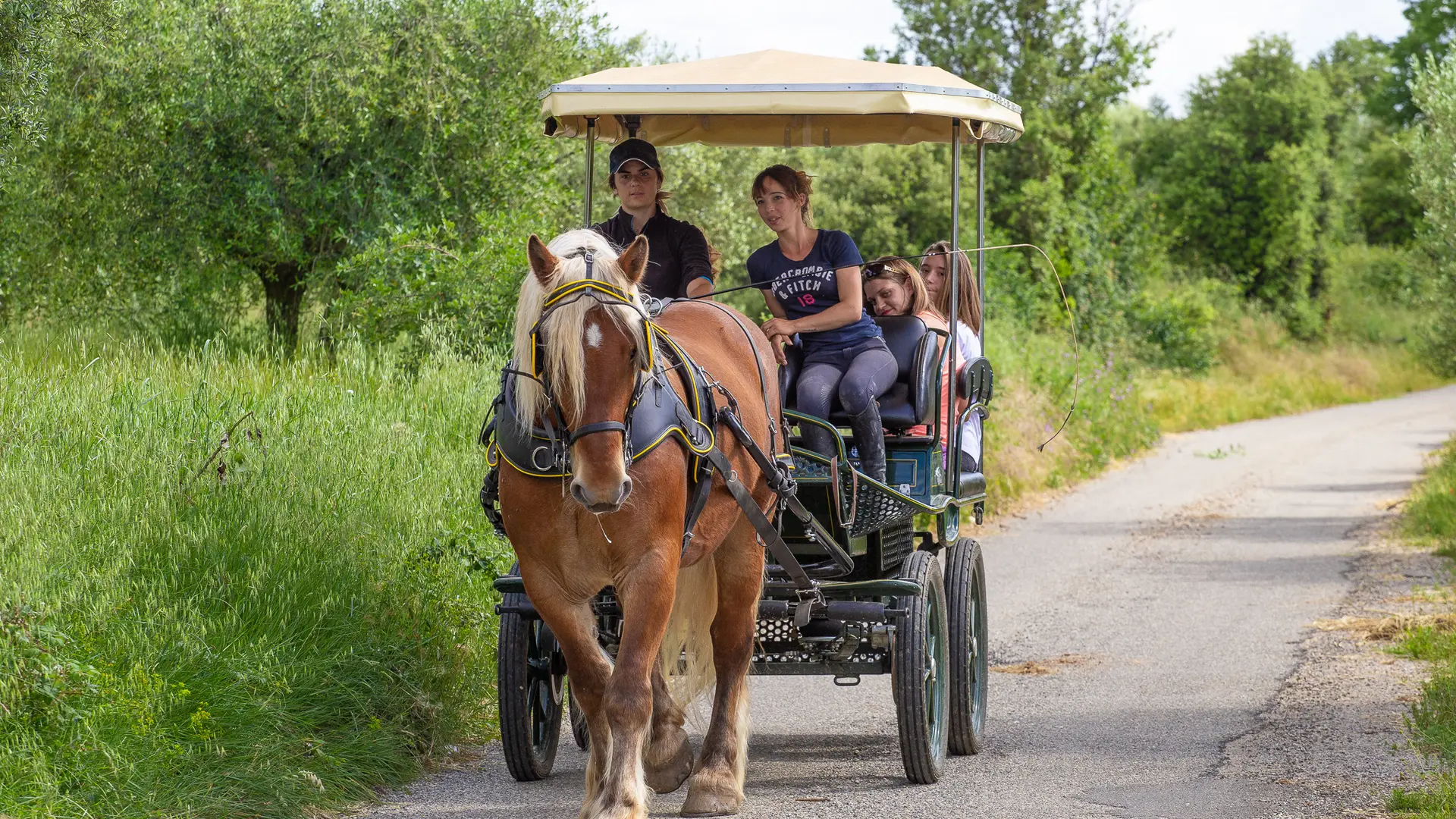 Balade en calèche