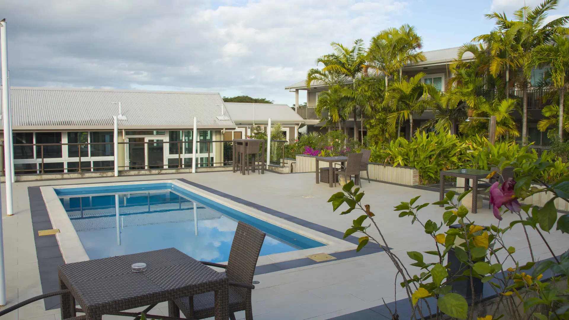 piscine, extérieur, colibri, koné