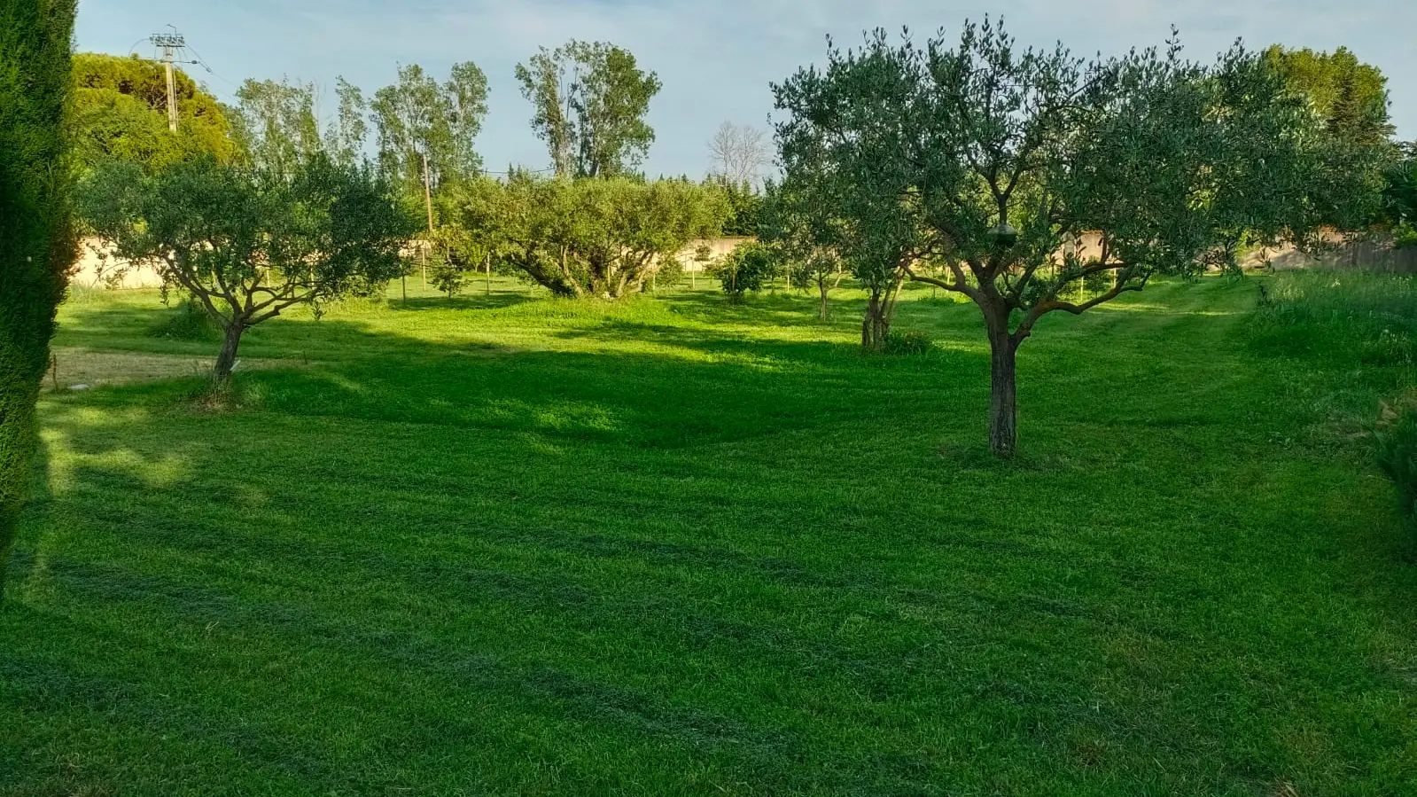 Gîte Mas des Roumaises_Le Thor jardin verdoyant