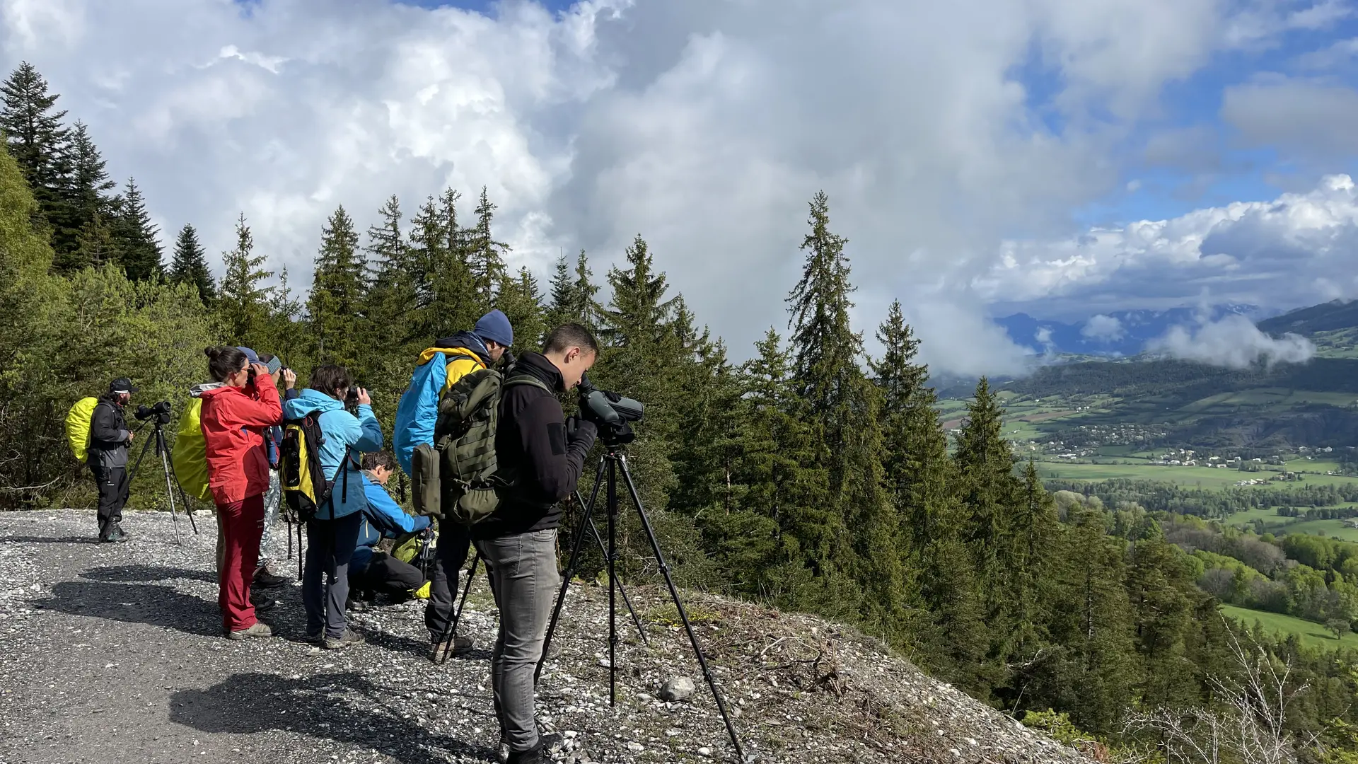 Séjour ornitho Tétras