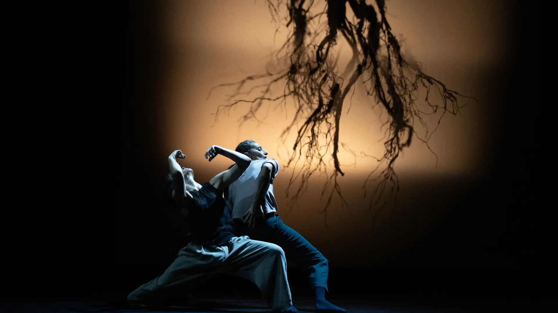 Plateforme Studiotrade_Cannes - La Bocca