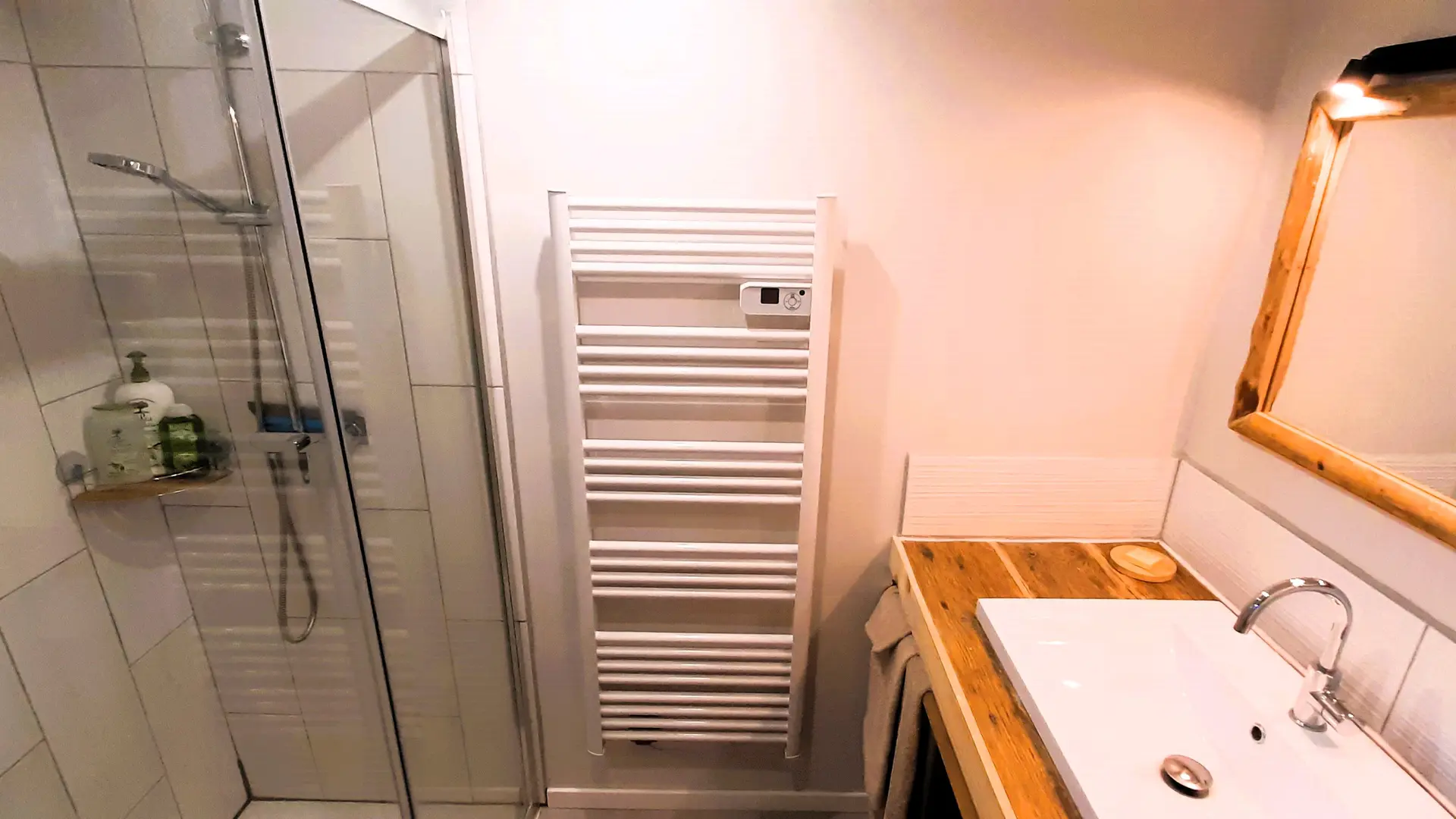 salle d'eau avec lavabo et grande douche