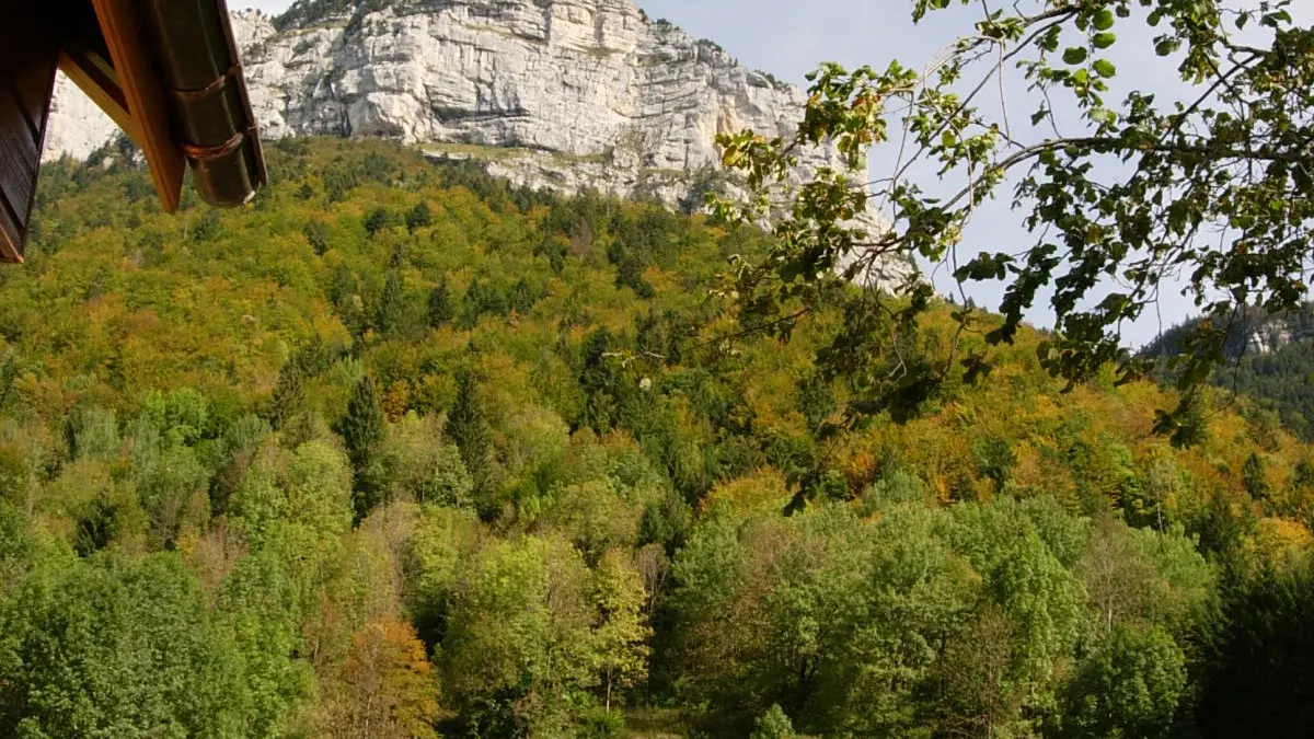 Vue depuis le gîte