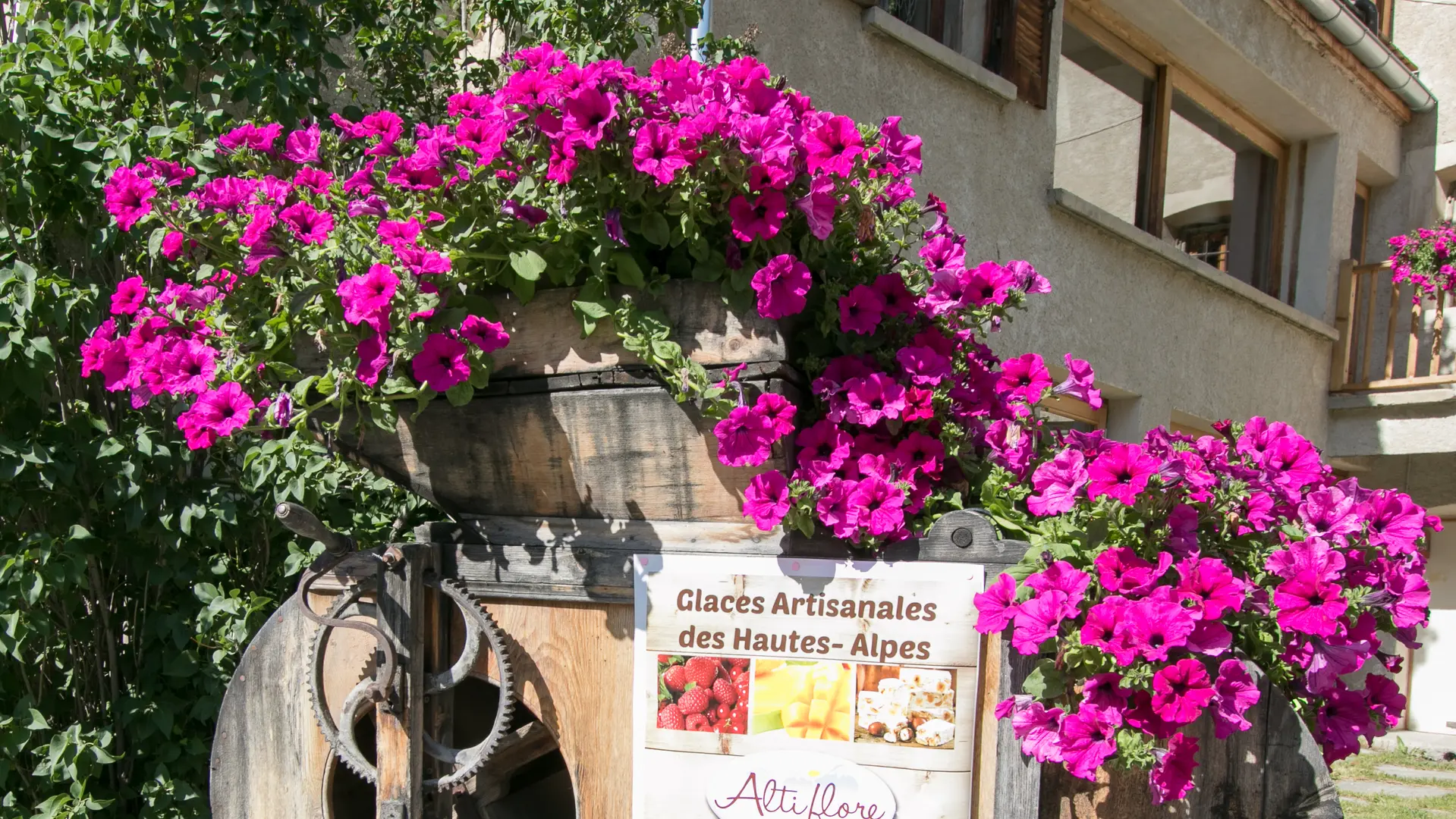 Les glaces artisanales des Hautes-Alpes