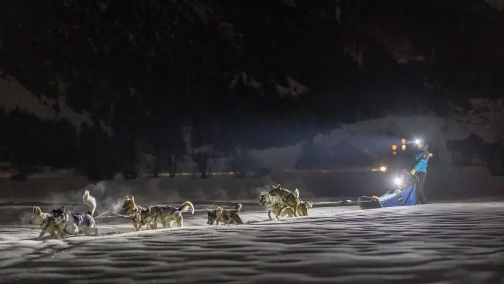 Baptême de nuit en chien de traineau